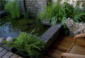 无锡鱼池庭院设计