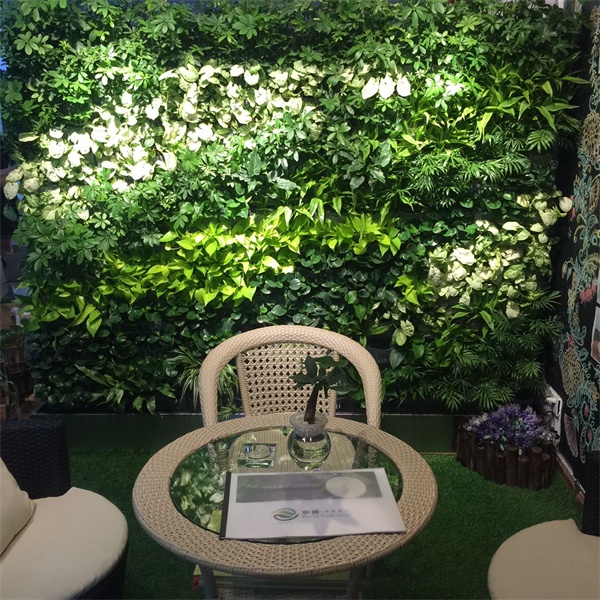水培植物墙